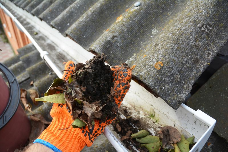 Gutter Debris Removal